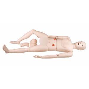Multi Function Nursing Manikin (Male/Female)
