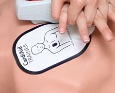 Cardiaid Adult Training Pads